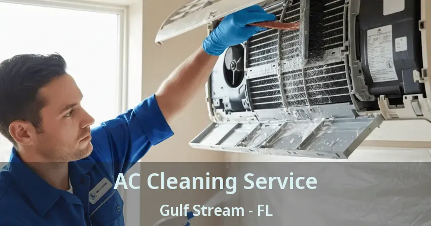AC Cleaning Service Gulf Stream - FL