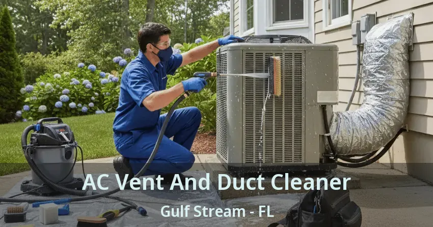 AC Vent And Duct Cleaner Gulf Stream - FL