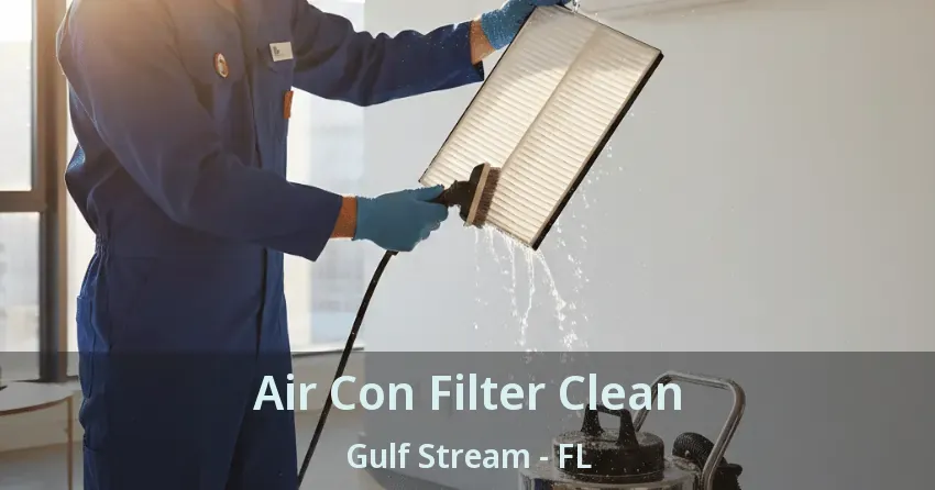 Air Con Filter Clean Gulf Stream - FL