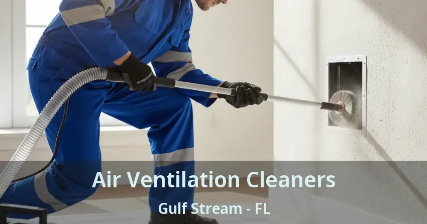 Air Ventilation Cleaners Gulf Stream - FL
