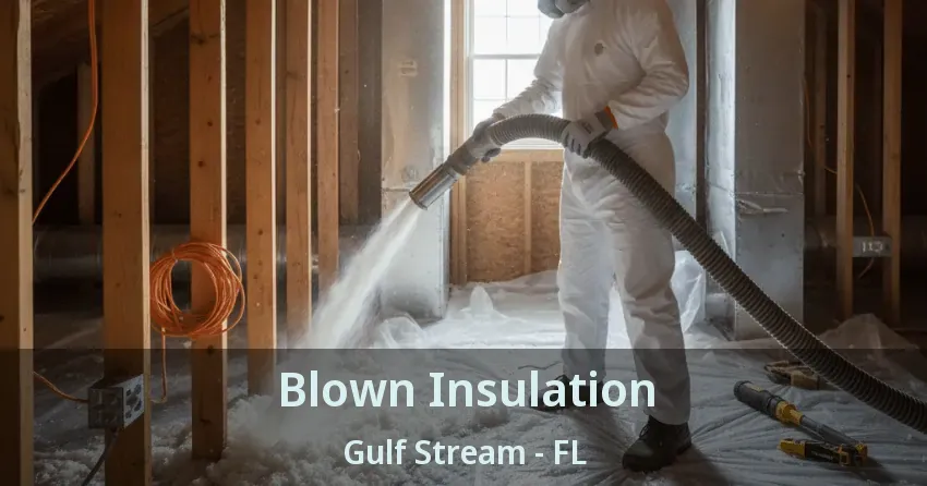 Blown Insulation Gulf Stream - FL