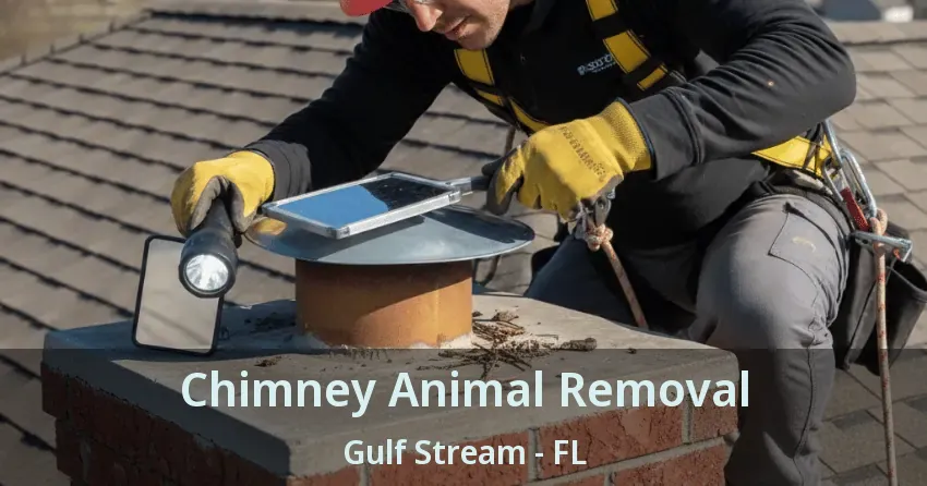 Chimney Animal Removal Gulf Stream - FL