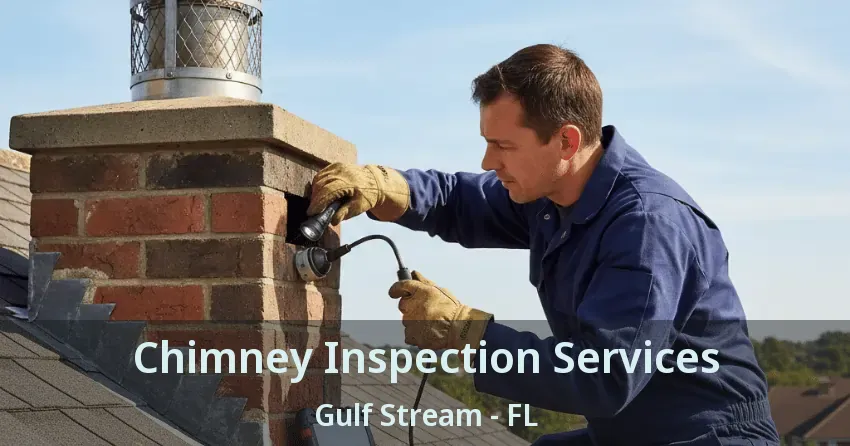 Chimney Inspection Services Gulf Stream - FL