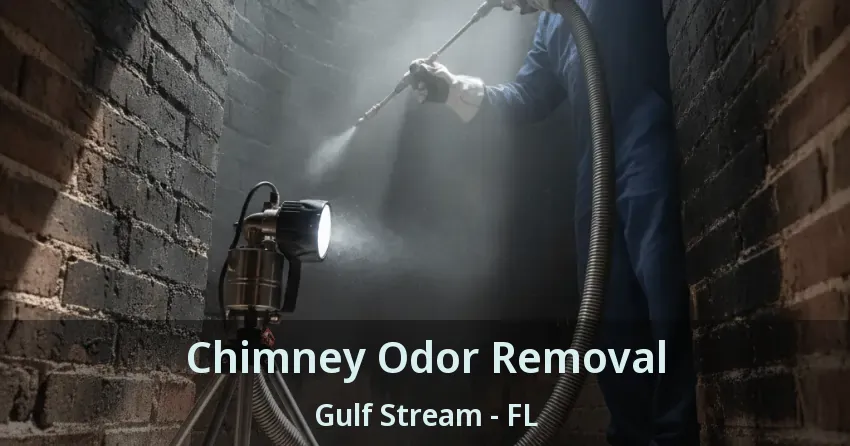 Chimney Odor Removal Gulf Stream - FL