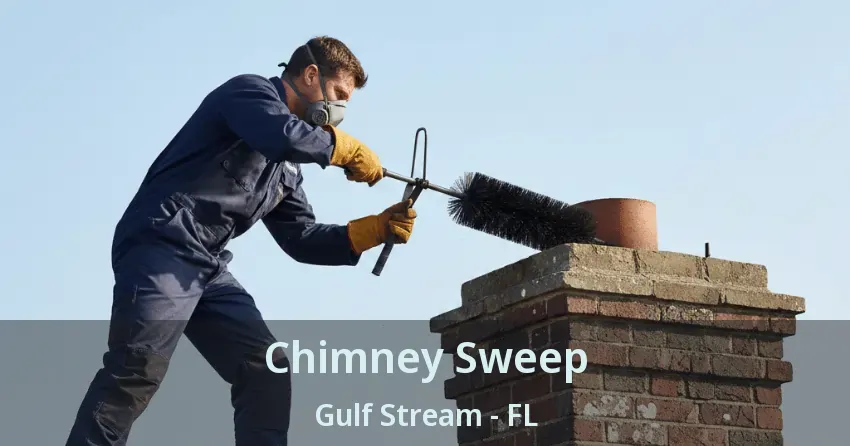 Chimney Sweep Gulf Stream - FL