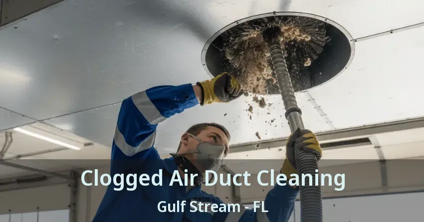 Clogged Air Duct Cleaning Gulf Stream - FL