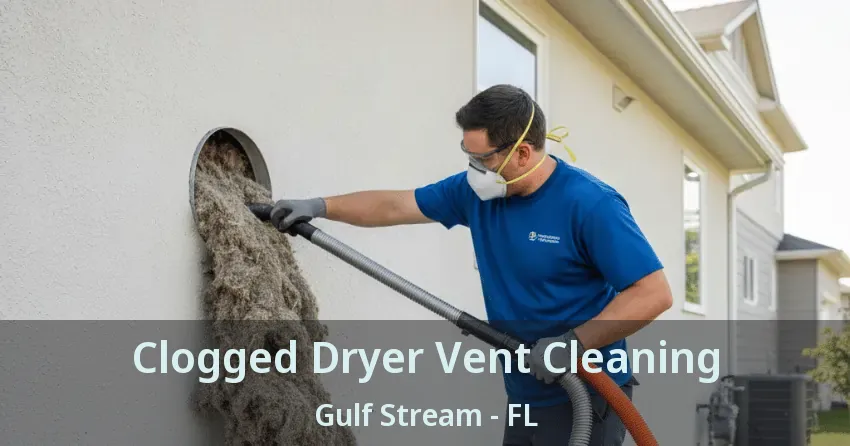Clogged Dryer Vent Cleaning Gulf Stream - FL