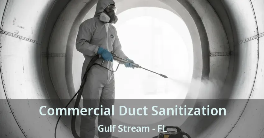 Commercial Duct Sanitization Gulf Stream - FL