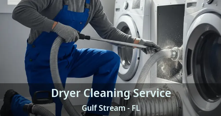 Dryer Cleaning Service Gulf Stream - FL