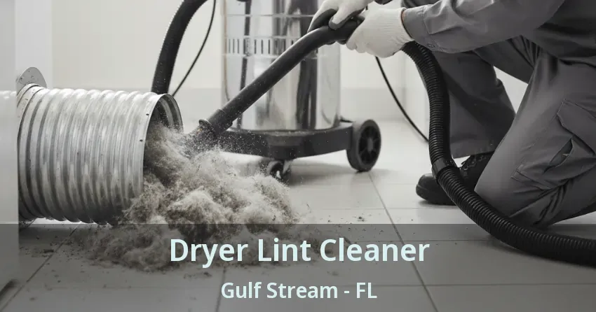 Dryer Lint Cleaner Gulf Stream - FL