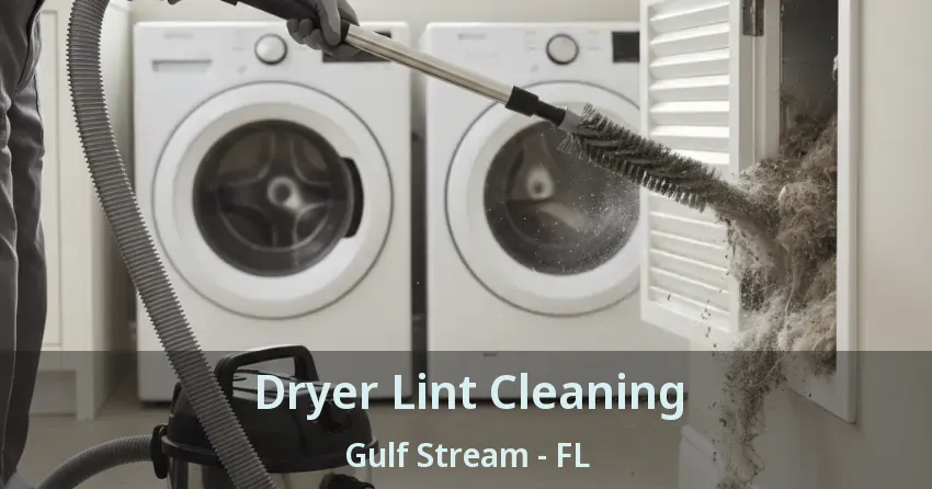Dryer Lint Cleaning Gulf Stream - FL