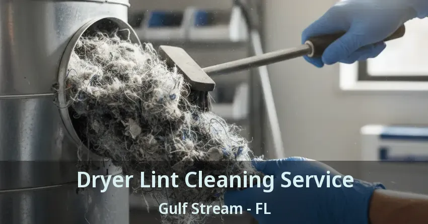 Dryer Lint Cleaning Service Gulf Stream - FL