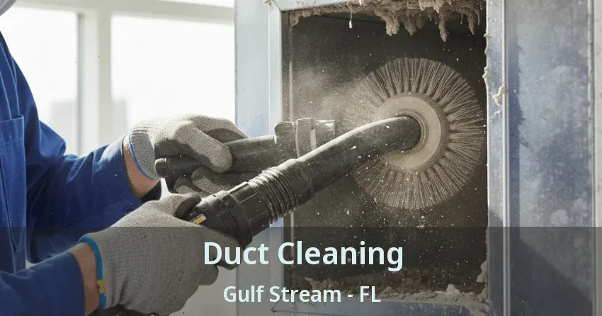 Duct Cleaning Gulf Stream - FL