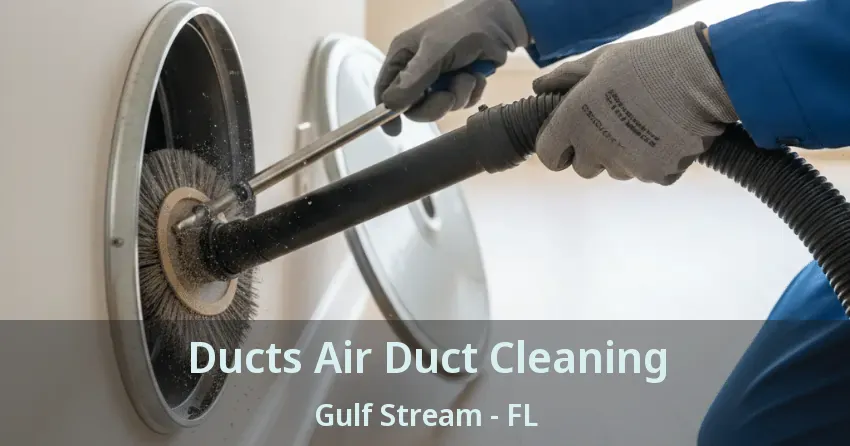 Ducts Air Duct Cleaning Gulf Stream - FL