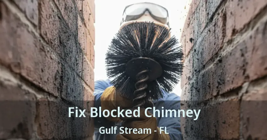 Fix Blocked Chimney Gulf Stream - FL