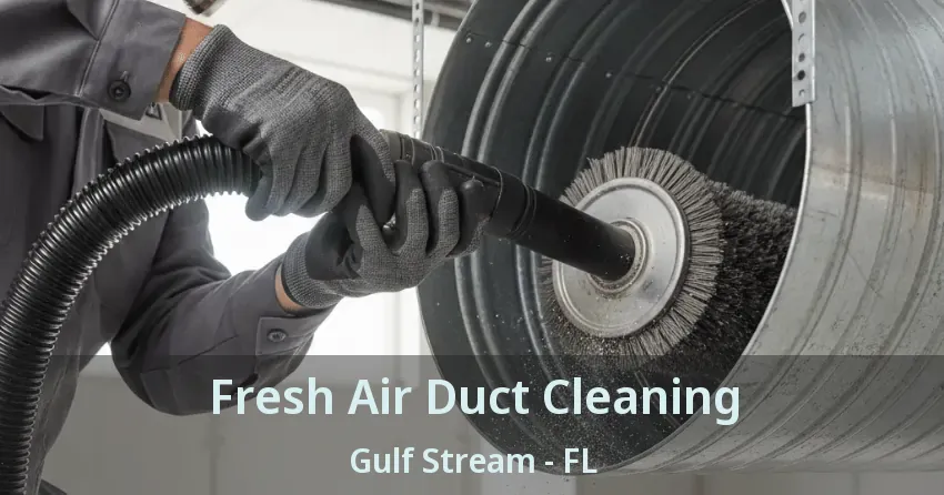 Fresh Air Duct Cleaning Gulf Stream - FL