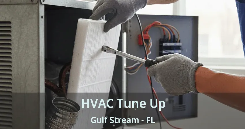 HVAC Tune Up Gulf Stream - FL