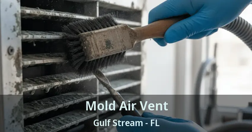 Mold Air Vent Gulf Stream - FL