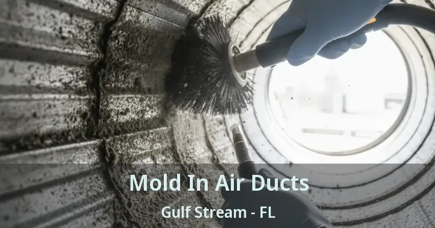 Mold In Air Ducts Gulf Stream - FL