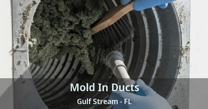 Mold In Ducts Gulf Stream - FL Mold In Ducts Gulf Stream - FL