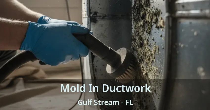 Mold In Ductwork Gulf Stream - FL