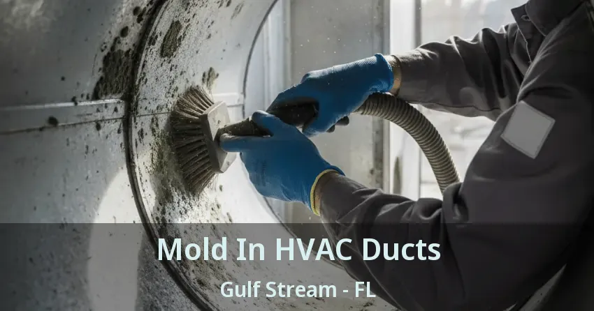 Mold In HVAC Ducts Gulf Stream - FL