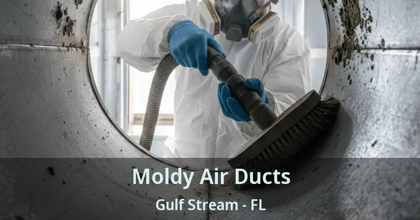 Moldy Air Ducts Gulf Stream - FL